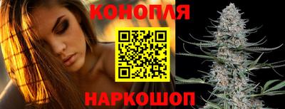 спайс Новодвинск