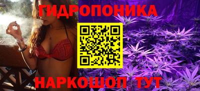 марки nbome Новозыбков