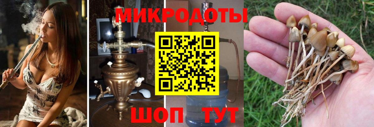 Тамбов  Галлюциногенные грибы ЛСД  Вход с VPN 